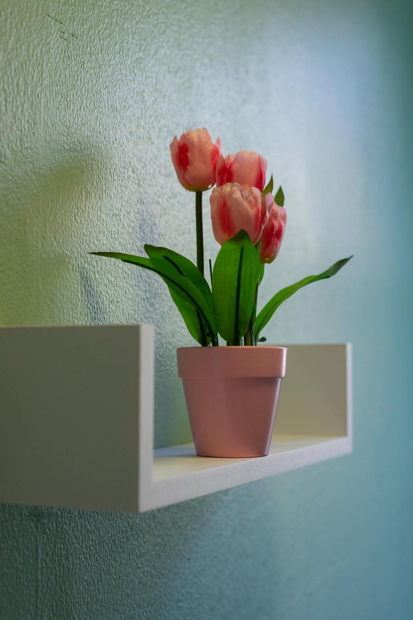 The Eden Apartment, Edinburgh City Center Екстер'єр фото